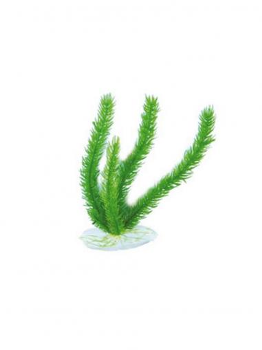 Aquael plastová rostlina AP-048 20 cm