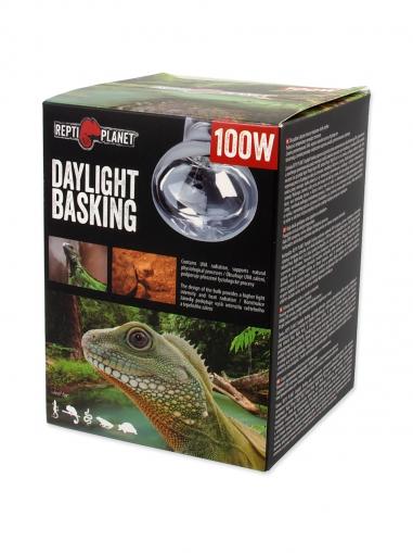 Repti Planet Žárovka Daylight Basking Spot 100 W