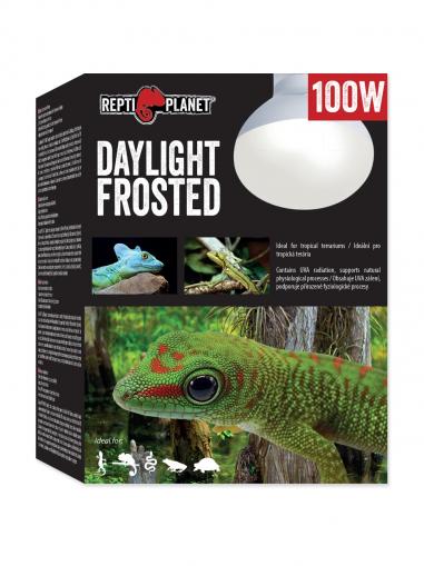Repti Planet Žárovka Daylight Frosted 100 W
