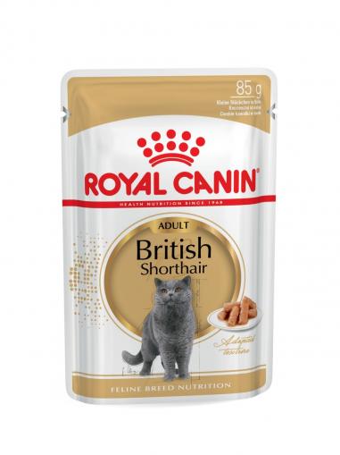 Royal Canin kapsička British Shorthair