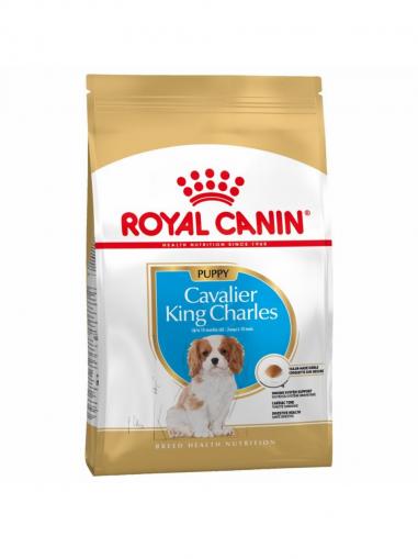 Royal Canin Kavalír King Charles Puppy 1.5 kg