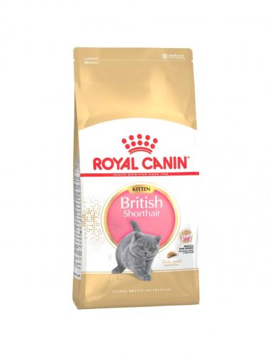 Royal Canin Kitten British Shorthair