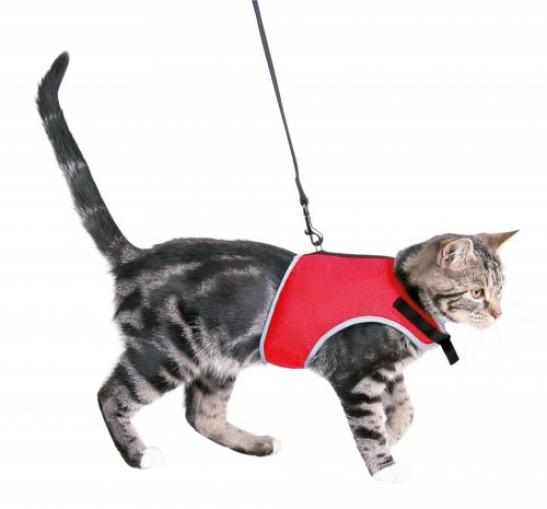 Trixie XCat postroj vestička pro kočky 24-42 cm/1,2 m