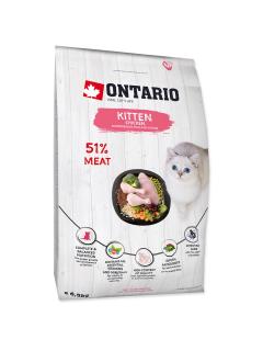 Ontario Kitten Chicken