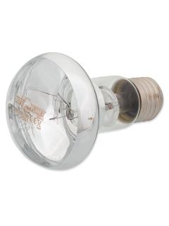 Repti Planet Žárovka Daylight Basking Spot 25 W