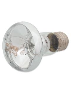 Repti Planet Žárovka Daylight Basking Spot 50 W