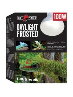 Repti Planet Žárovka Daylight Frosted