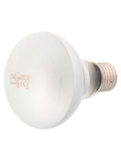 Repti Planet Žárovka Daylight Frosted 100 W