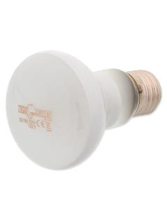 Repti Planet Žárovka Daylight Frosted 25 W