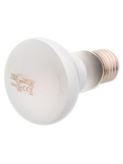 Repti Planet Žárovka Daylight Frosted 75 W