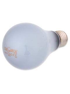 Repti Planet Žárovka Daylight Neodymium 100 W