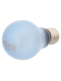 Repti Planet Žárovka Daylight Neodymium 75 W