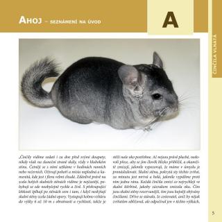 Robimaus Knížka Činčila vlnatá