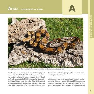 Robimaus Knížka Hroznýš královský