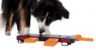 Trixie Dog Activity Move2Win s šuplíčky a kuželkami 34x6x13 cm