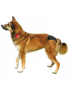 Trixie Ochranné hárací kalhotky de Luxe černé M 40-49 cm